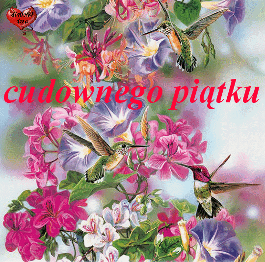 Kolibry i życzenia cudownego piątku 